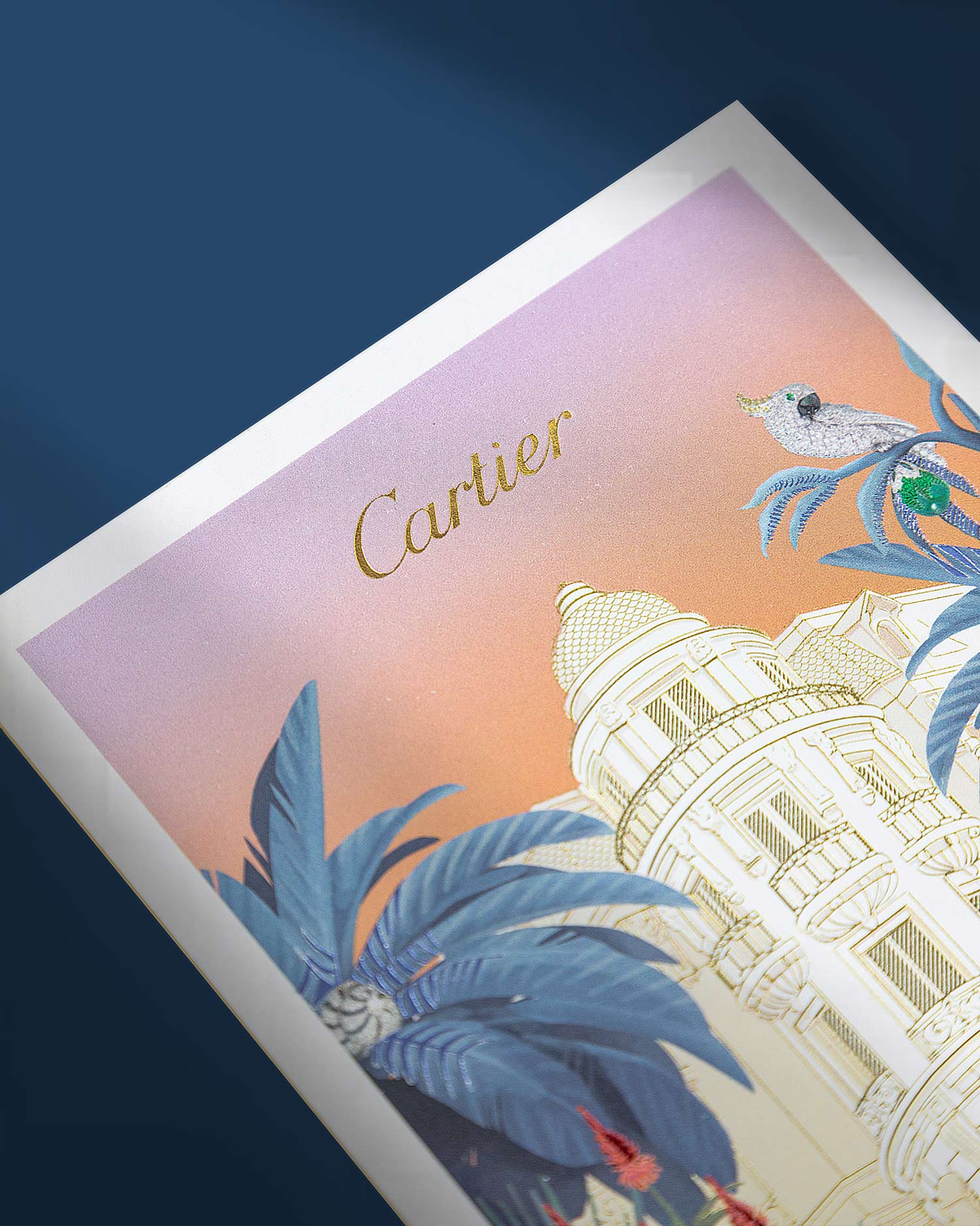 060A9155-1500×1875-opt