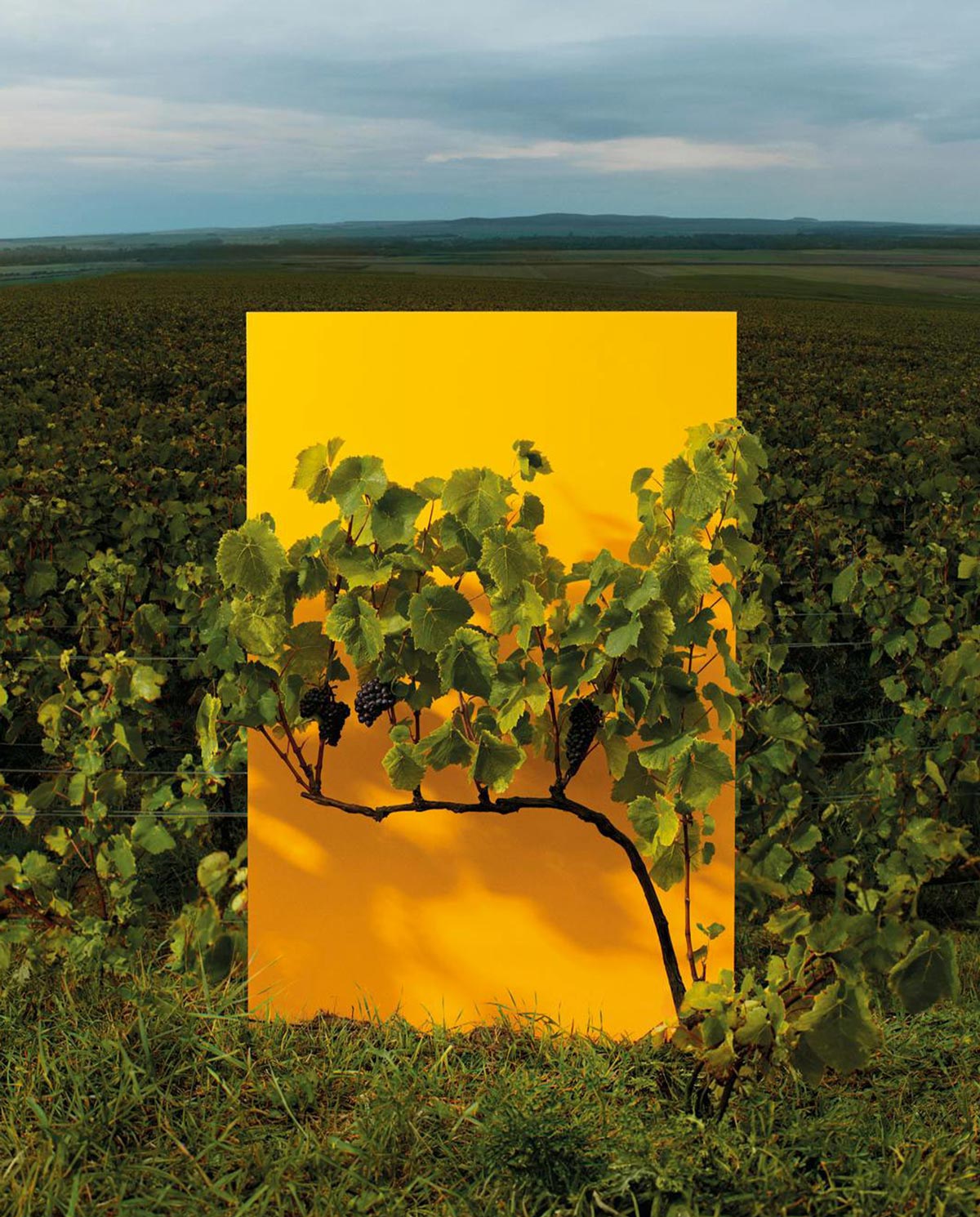 Veuve-Clicquot_insta04
